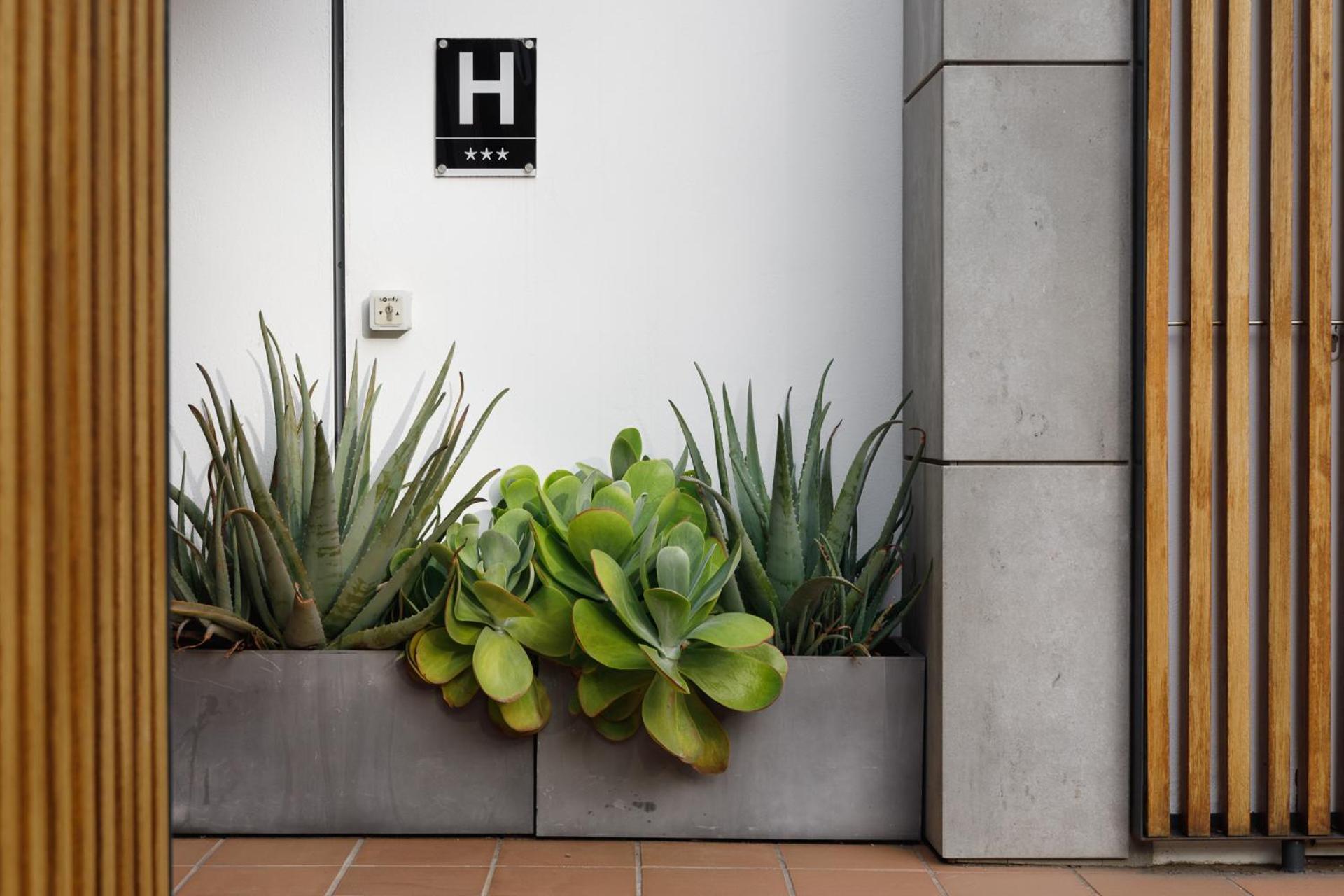 Hotel Hcp 칼레냐 데 팔라푸르헬 외부 사진